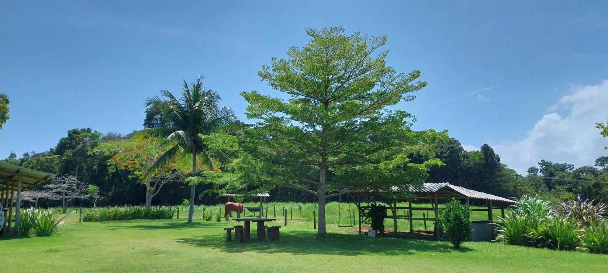 Rancho Semani Lodge