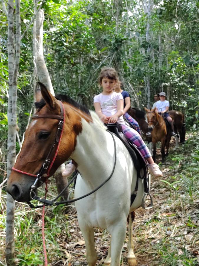 Alojamento de Turismo Selvagem Fazenda Rancho Sêmani Itacaré