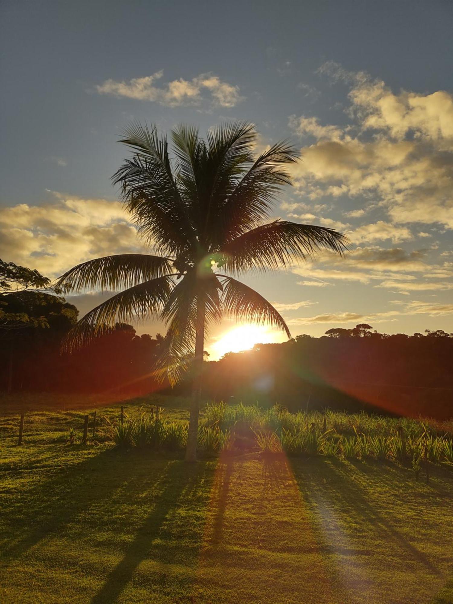 Alojamento de Turismo Selvagem Fazenda Rancho Sêmani *