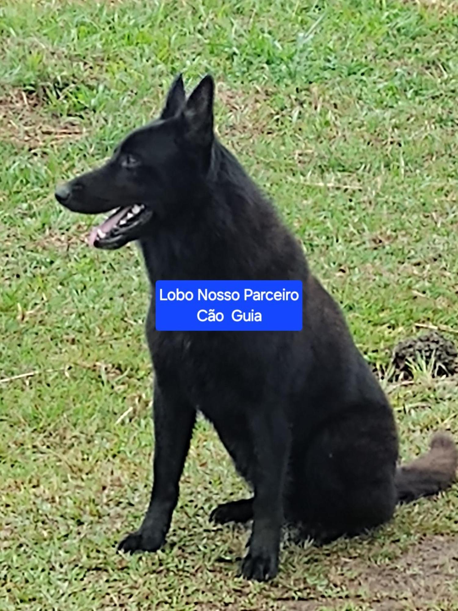 Fazenda Rancho Sêmani Alojamento de Turismo Selvagem *